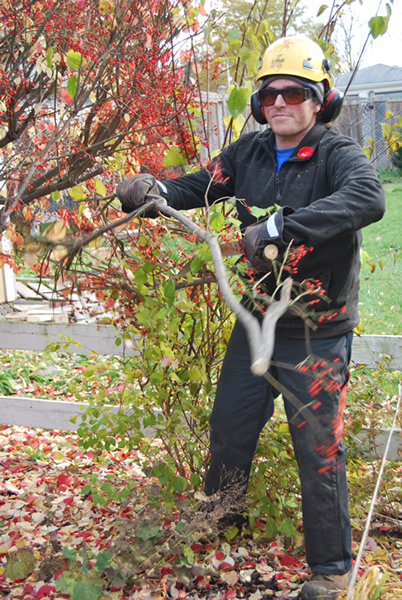 corrective pruning