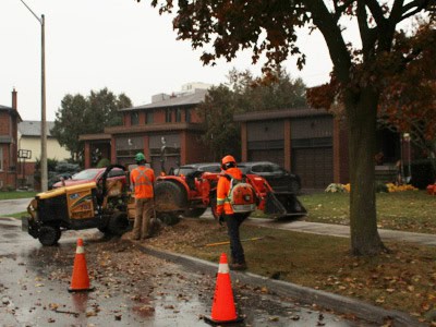 Stump Removal